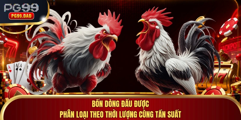 Bốn dòng đấu được phân loại theo thời lượng cùng tần suất