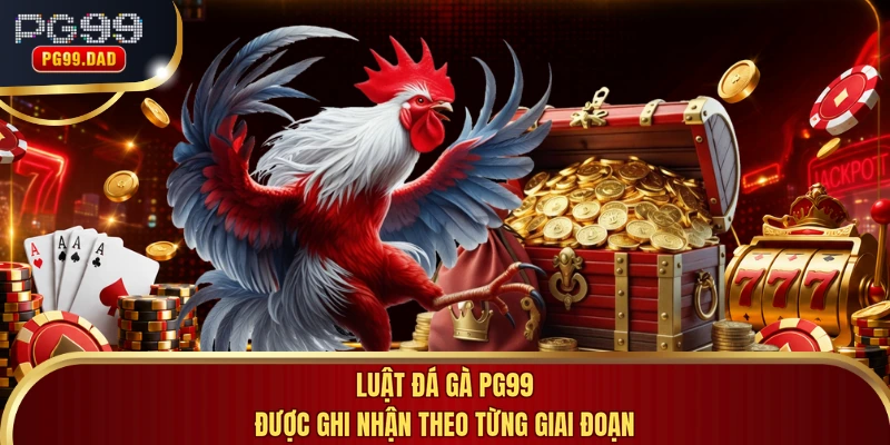 Luật đá gà PG99 được ghi nhận theo từng giai đoạn